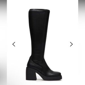 Steve Madden Berkleigh Knee High Boots